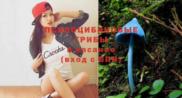 МДПВ Абаза