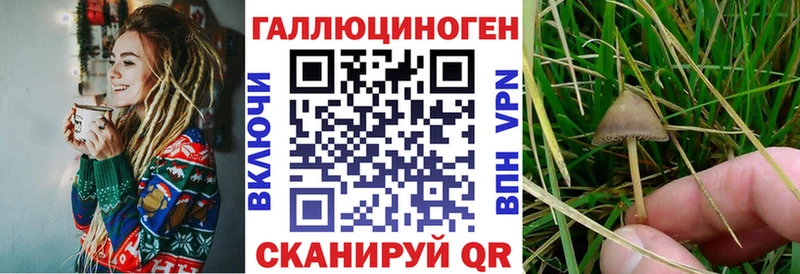 где найти   Мурино  Галлюциногенные грибы ЛСД 