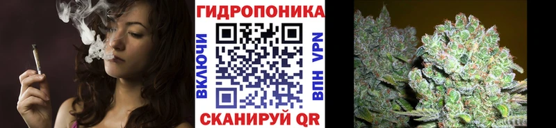купить наркотик  Мурино  Шишки марихуана гибрид 